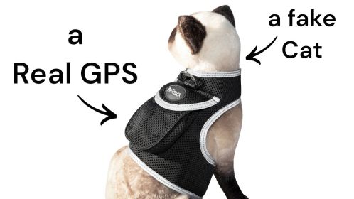 Realtime Tracking Dog Collar GPS Mini Tracker Waterproof Rechargeable Size:M